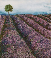 Lavender Fields
