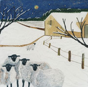Sheep